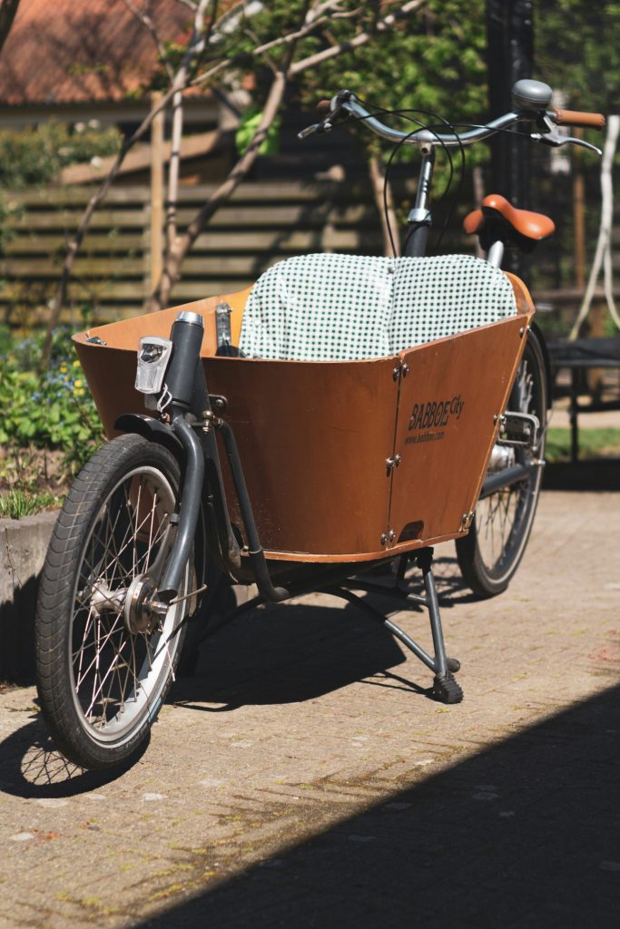vélo cargo de la marque Babboe avec coussin pour les enfants